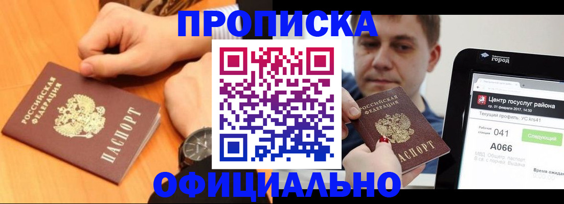 прописка поиск в Бийске